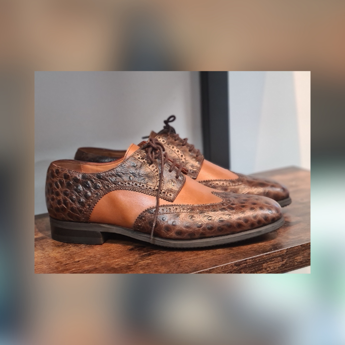 Hugho Ostrich Marron 41.5 